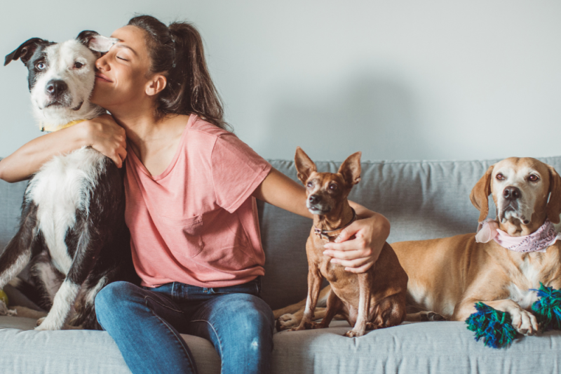 Why Pet Parents in Connecticut Should Choose Privately-Owned Veterinary Care Over Corporate Clinics