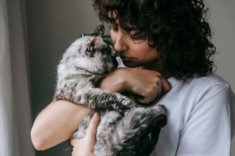 Why Connecticut Pet Parents Should Consider At-Home Euthanasia for Their Beloved Pets