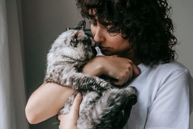 Why Connecticut Pet Parents Should Consider At-Home Euthanasia for Their Beloved Pets