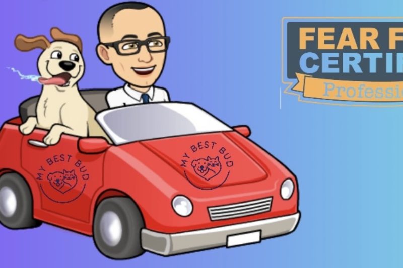 Compassionate Care at Your Doorstep: Same-Day Mobile Vet Appointments in Connecticut